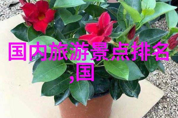 福建自驾游探索南部风情的旅程