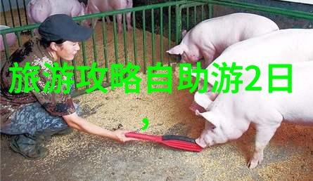 异国风情探索国际旅游团的神秘世界