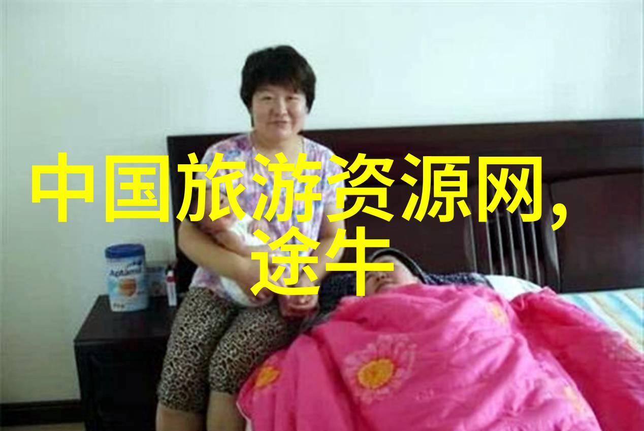 苏州旅游攻略探索古典园林与现代都市的魅力