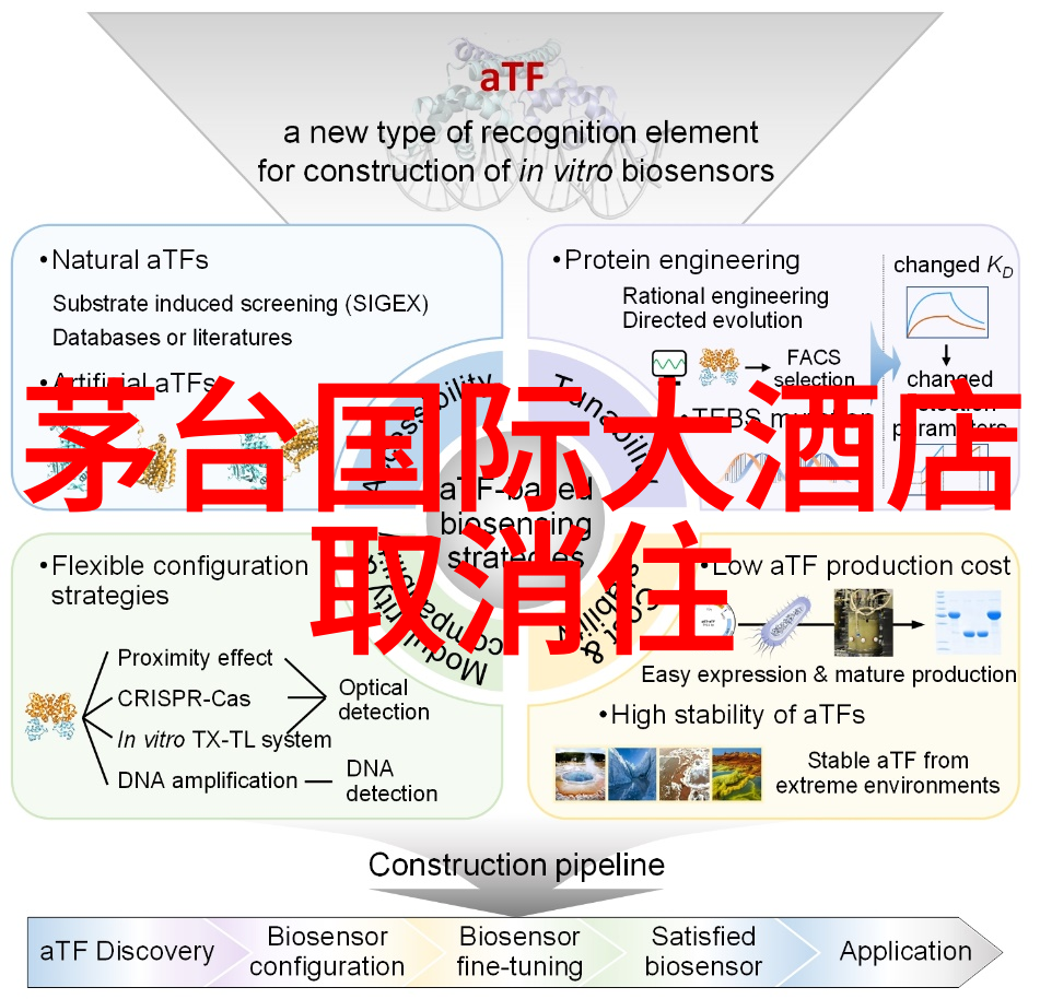 广东省内自驾游我和朋友的省城探秘之旅