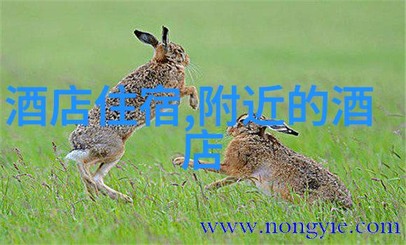 8月份适合去哪旅游我去海岛吧怎么样