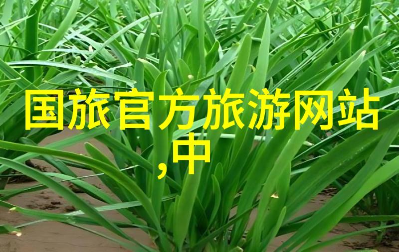 探索时尚欧洲的秘密角落等你发现