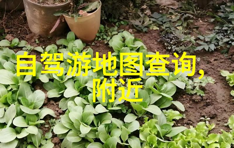 西安一日游揭秘秦始皇的秘密基地吃掉所有烤鸭不喝酒不欢