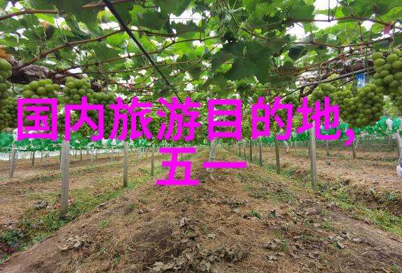 德国严谨性教育体系 vs 英国自由式学习环境你会选哪一个
