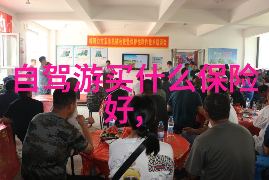探索童年智慧四年级上册作文之旅