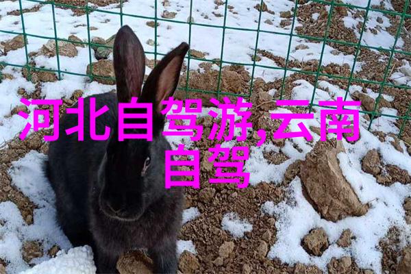 安全第一舒适第二了解不同体型对应的最佳公路自行车坐姿建议