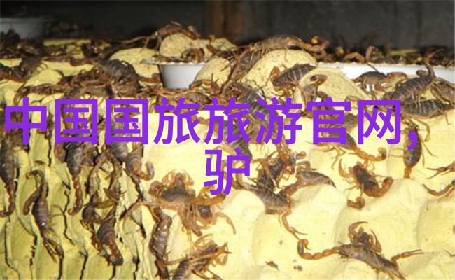 针对家庭旅行樂遊旅行網有什么特別設計的功能嗎