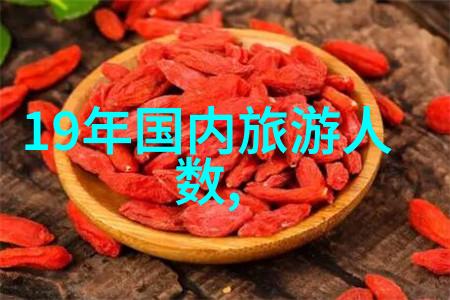 成都私人导游推荐探秘东台黄海森林公园的迷人风光