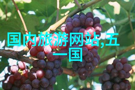 云南自由行探索大地追逐风情