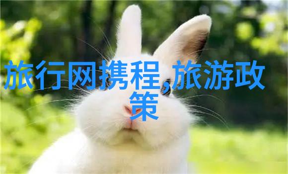 香港迪士尼乐园最新主题区开幕盛况一览