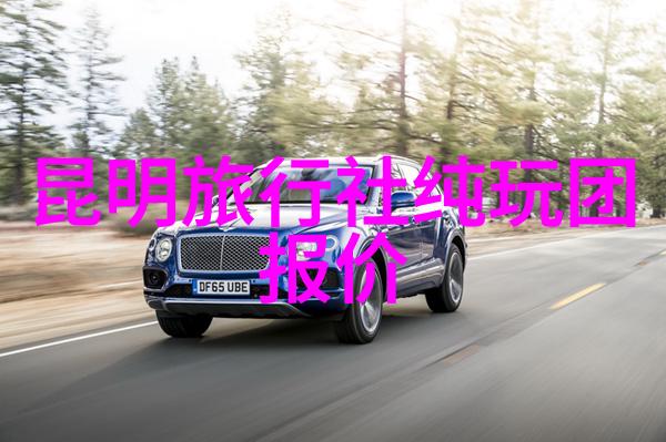 探秘故宫深处800字高中作文中的古代奥秘等待揭开