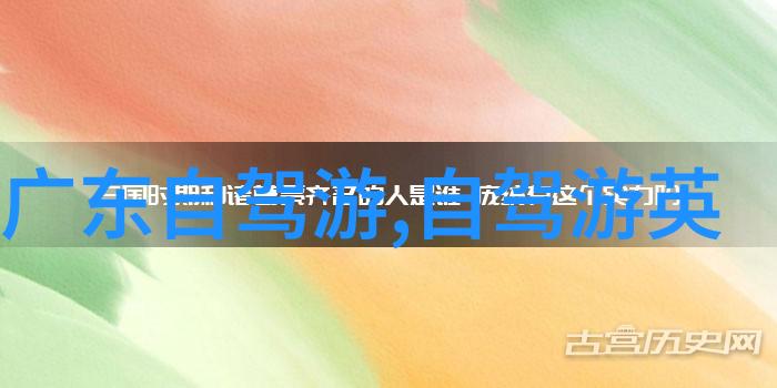 跨国旅行的文化差异理解与适应策略分享