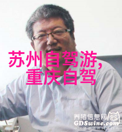 中国美食大丰收各地特色美味