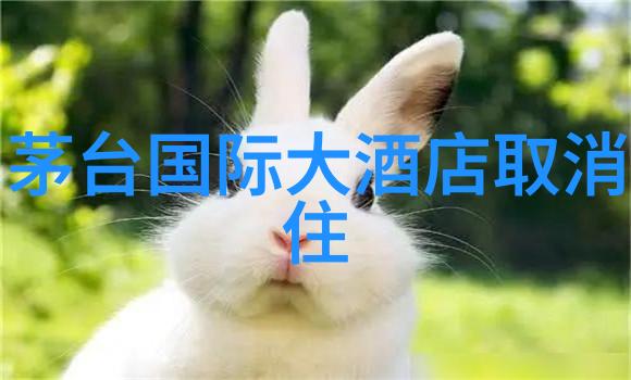 贵州旅游攻略探秘云南之称的天然奇迹与文化瑰宝