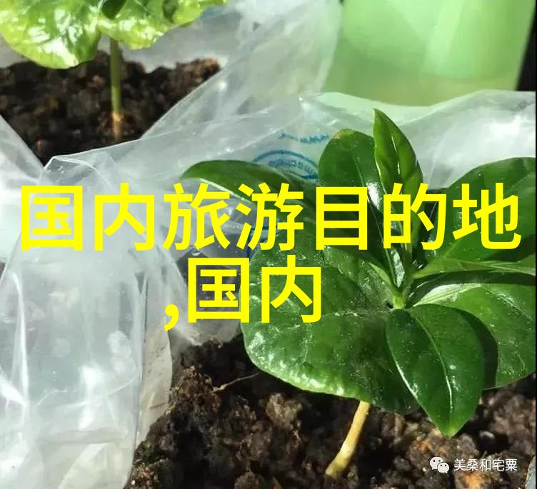 5月份国内旅游最佳地方我来告诉你这些地方绝对值得一去
