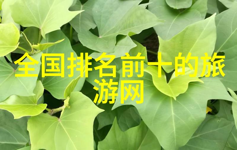 生存挑战10人团队的荒岛求生游戏