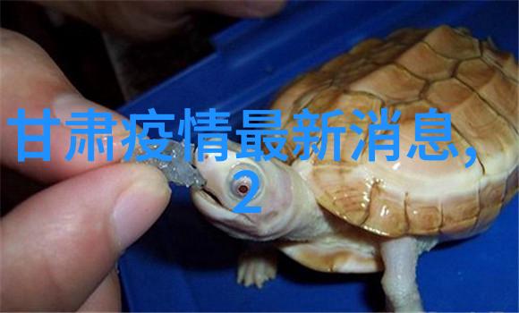 儿童拓展训练项目-丰富多彩的冒险儿童拓展训练项目有哪些