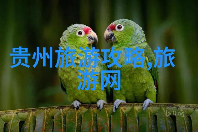 千岛湖之旅探索自然风光与人文魅力