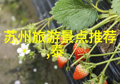 云端上的瑰宝世界上最壮观的山脉秘密何在