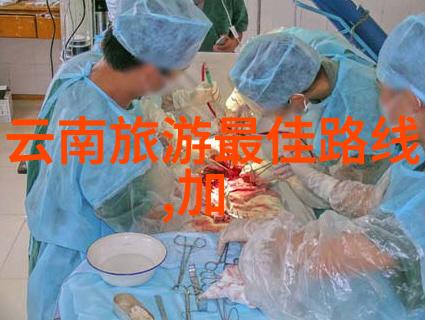 无边旅途探索自助的诗篇