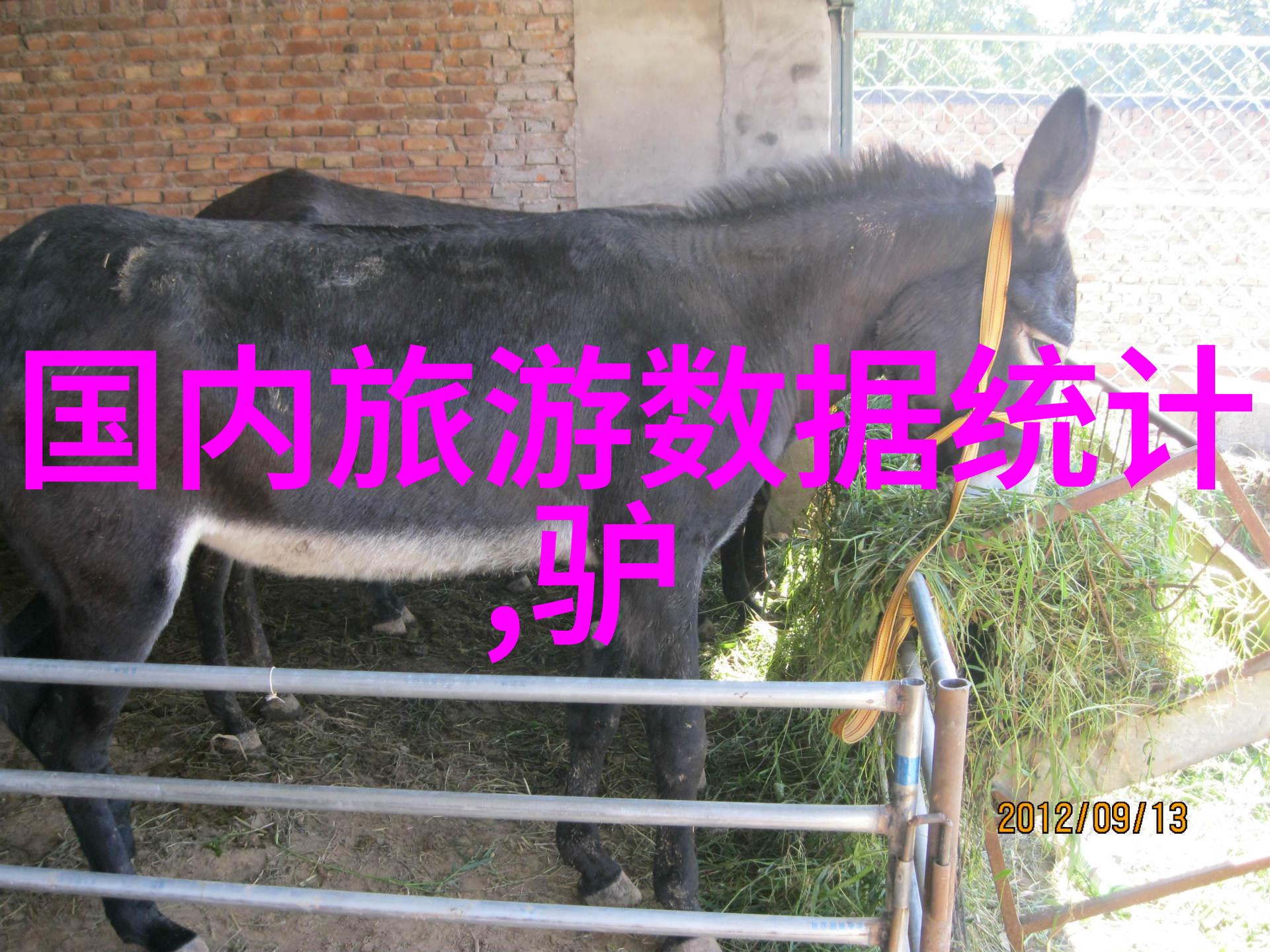 逆袭之旅从废墟到奇迹的探秘线路