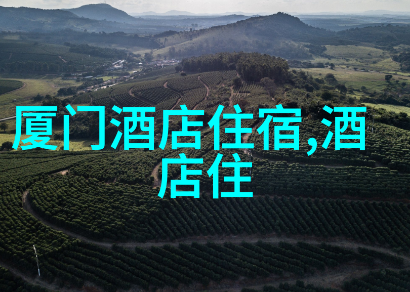 上海一日游最好的地方-探秘魔都揭秘上海一日游必去景点