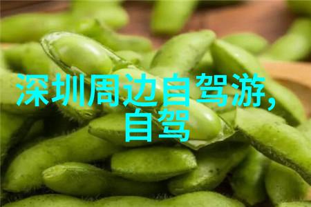 海外探秘畅游异国他乡的指南