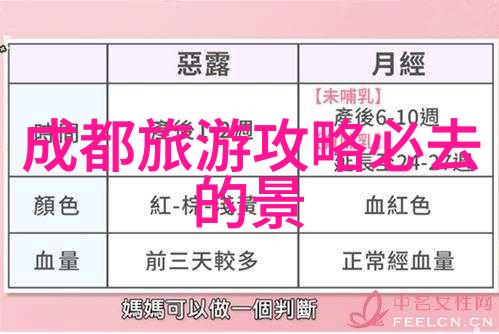 儿童夏令营活动中班户外游戏丰富