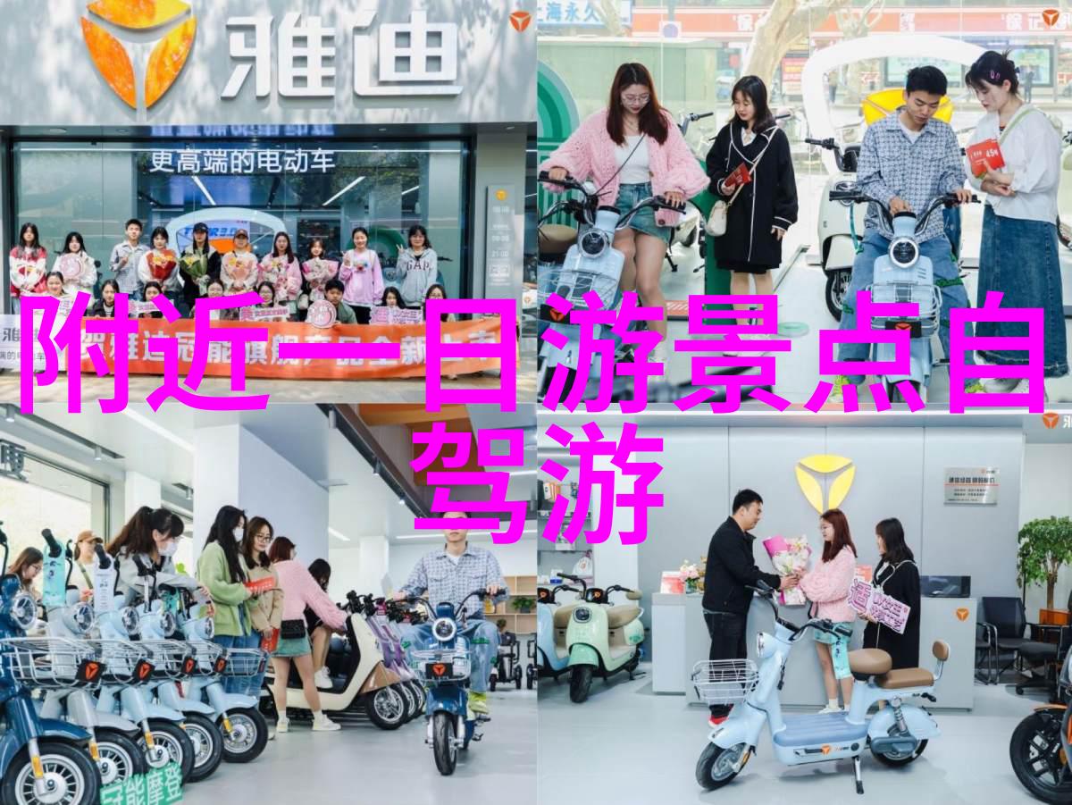 扬州旅游景点攻略-探索江南水乡之美从秦淮河到明代城墙的奇妙旅程