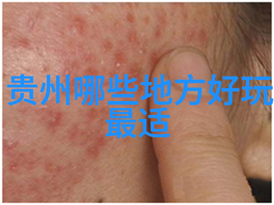 黑暗森林系列小说探险奇幻的阴影世界