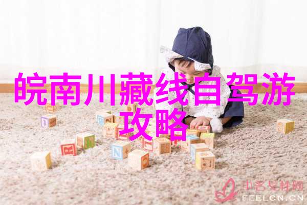 户外乐趣探索一项全面的户外活动游戏研究