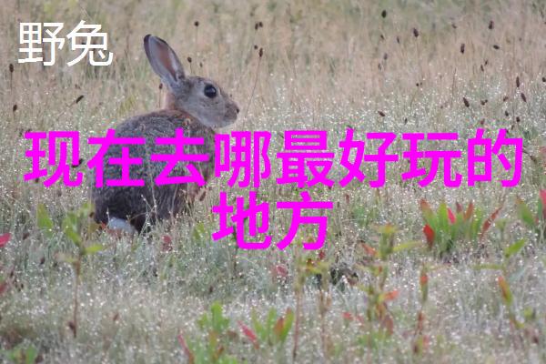探索地球上最迷人的旅行天堂全球旅游热门目的地