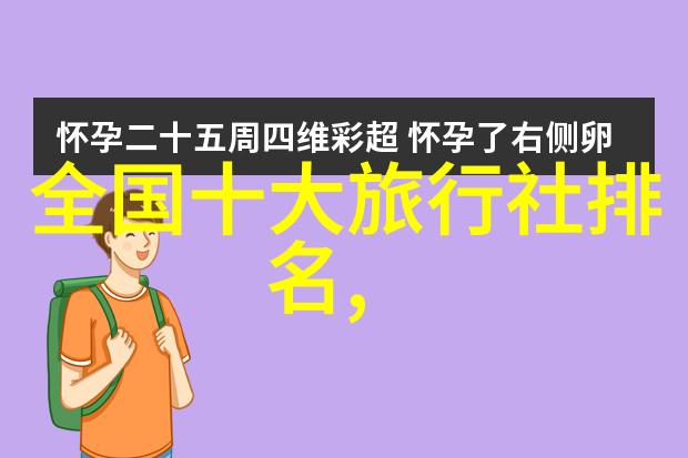 电助力旅行自行车-绿色骑行梦探索电助力旅行自行车的魅力与实用性