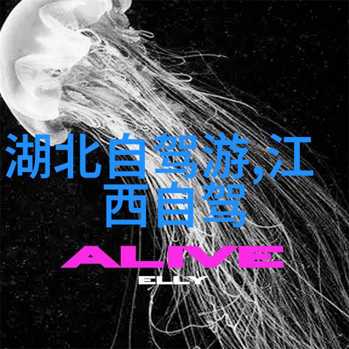金色年华50 60后结伴旅游的温馨回忆与精彩行程