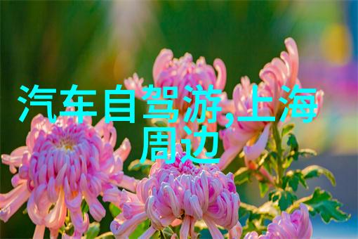 豪华套房与临时避风港城市边缘的隐秘住宿