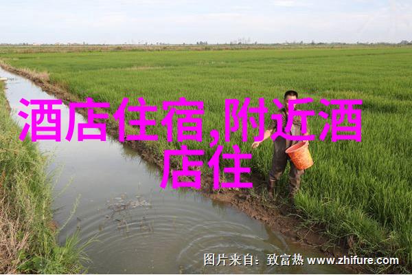 课堂背后的故事英语课代表与桌子上的秘密