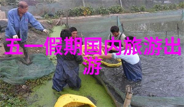 山间的翠绿长廊探索黄果树瀑布的自然奇迹
