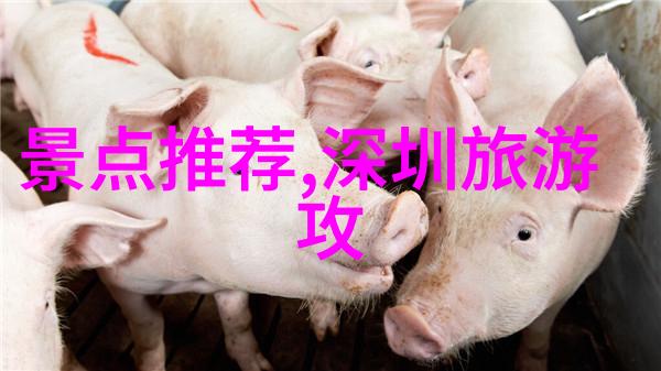 乡村田园趣探访湛江周边农家院生活体验日志