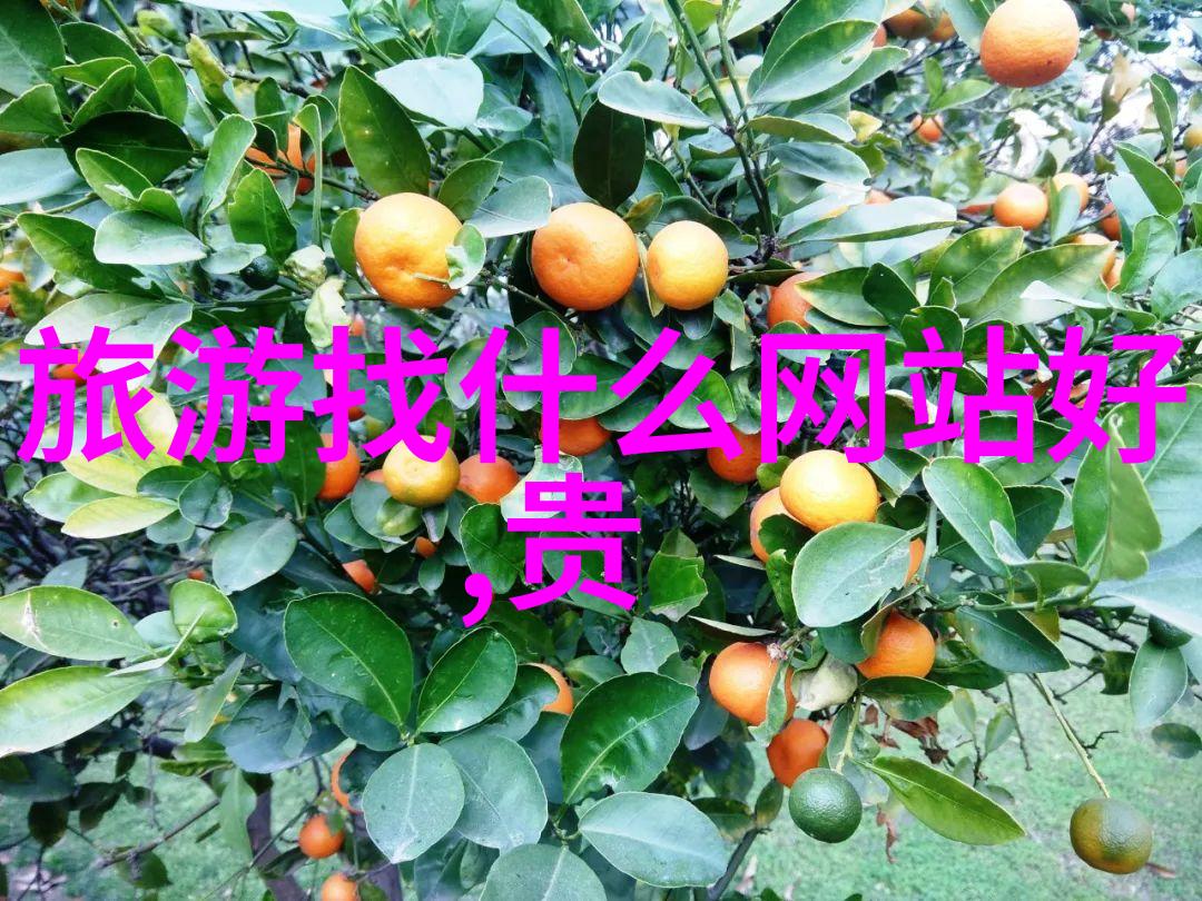 成都必游之地探秘七大景点奇观