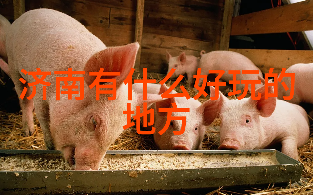 绍兴自驾游水乡古韵的轻舟漂泊