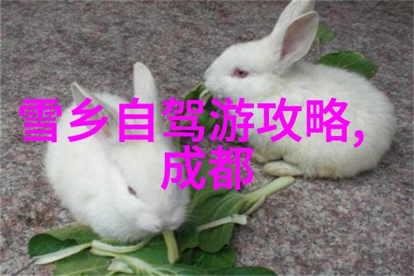 一对一的旅行奇遇共度美好时光