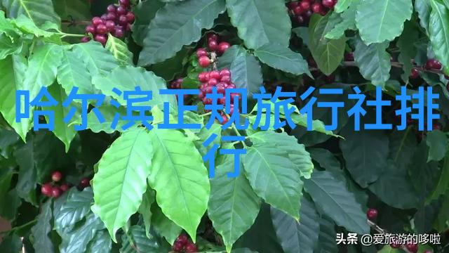 东山岛旅游攻略探索海岛文化与自然风光的全方位指南