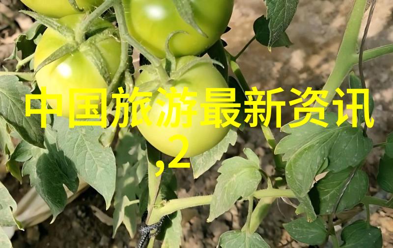 上海城隍庙之巅的温馨避风港探索周边住宿的秘密花园