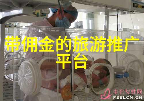 沂蒙山神农架探秘古老森林与现代生态的奇迹之旅