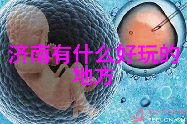 上海古迹探秘小普陀的历史与文化之旅