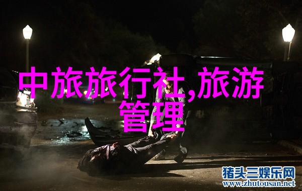 美国黄石国家公园野生动物与地质奇观共存之地