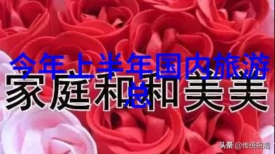 骑行App与知乎从数字链轮到知识深渊的双重征程