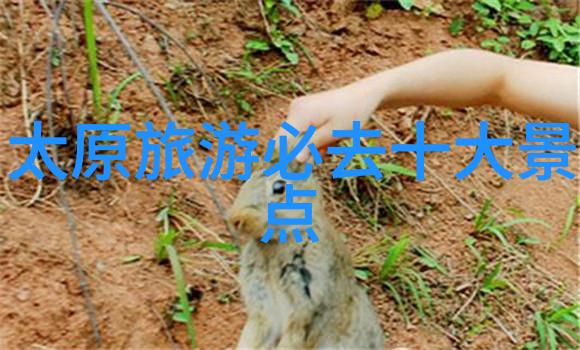 近期中国旅游新闻热点畲乡之窗门票不仅开启了自然风光的盛宴更是踏入文化深度的钥匙