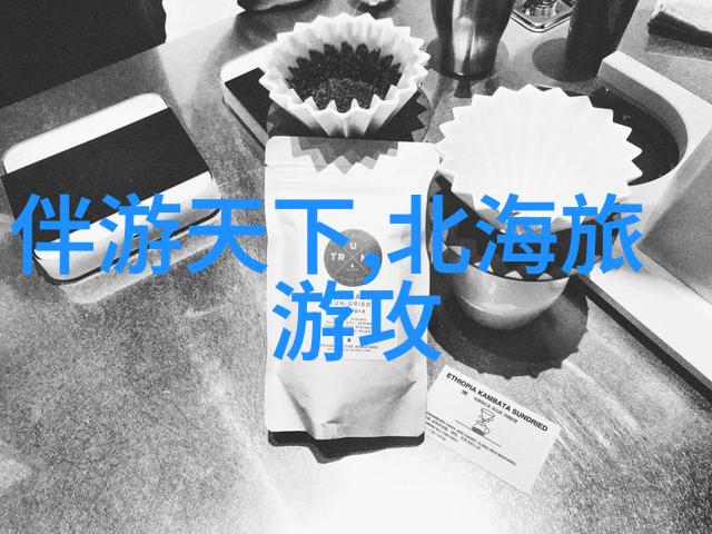 Exploring the Wonders of China A Guide to Essentia
