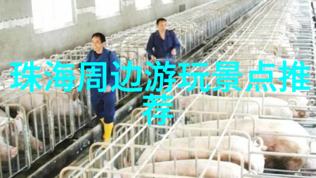 青岛五日游海边的呼唤与时光的荡漾